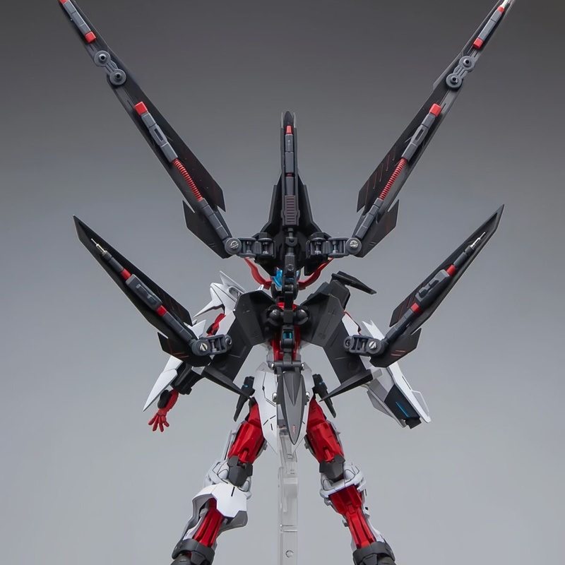 HG 1/144 Astray No-Name Astray - Bandai Gundam Rg recensie en prijs