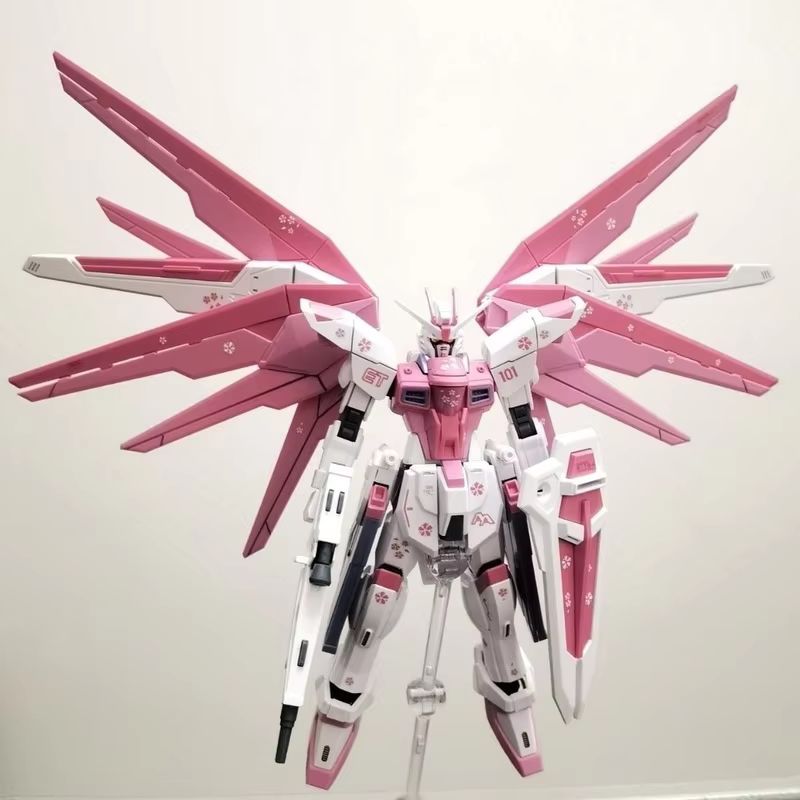 JMS HG 1/144 ZY-06 Freedom Ass - Bandai Gundam Rg recensie en prijs